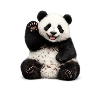 Маскот PandaSlots